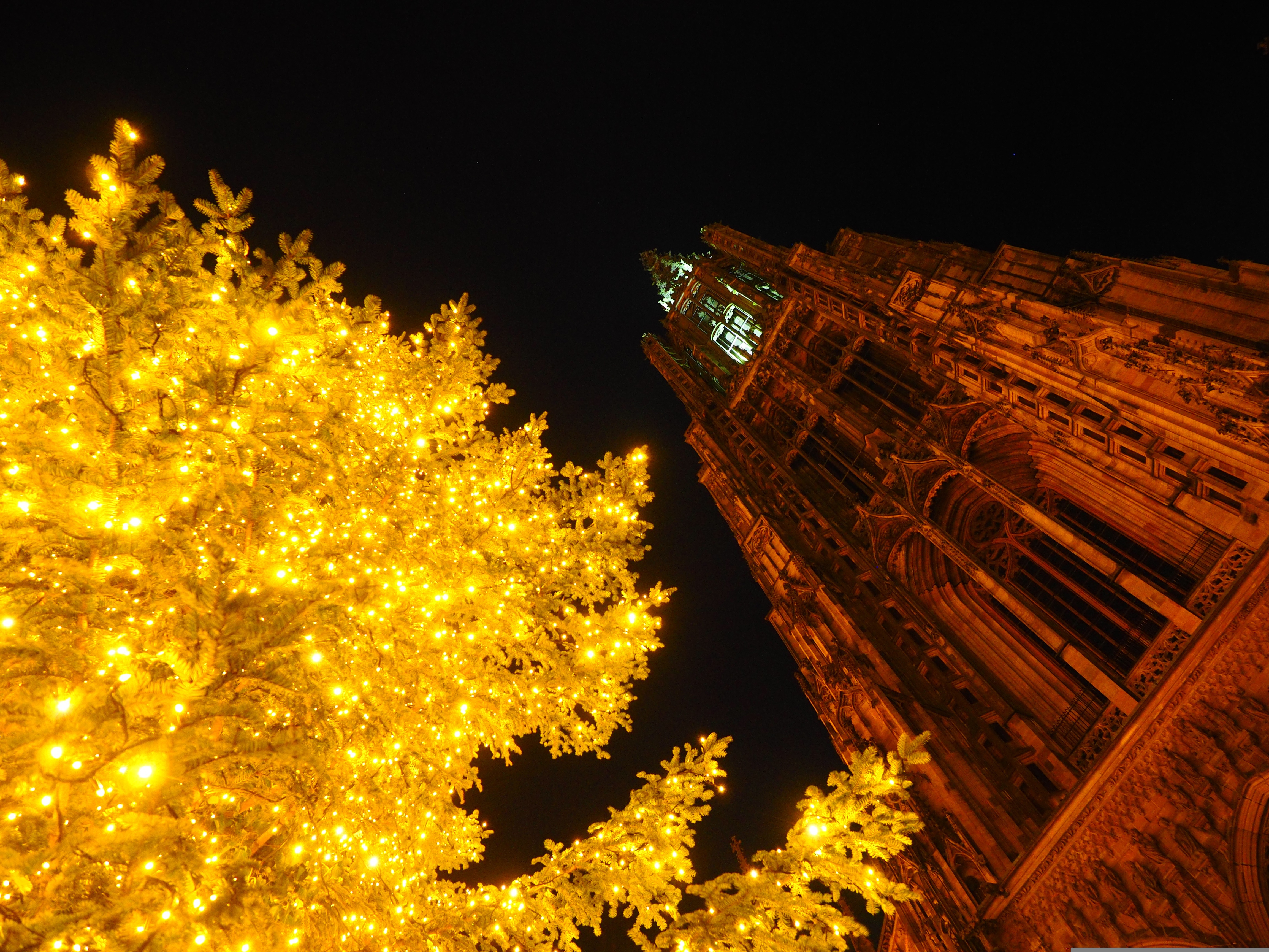 Ein weihnachtlicher Tag in Münster