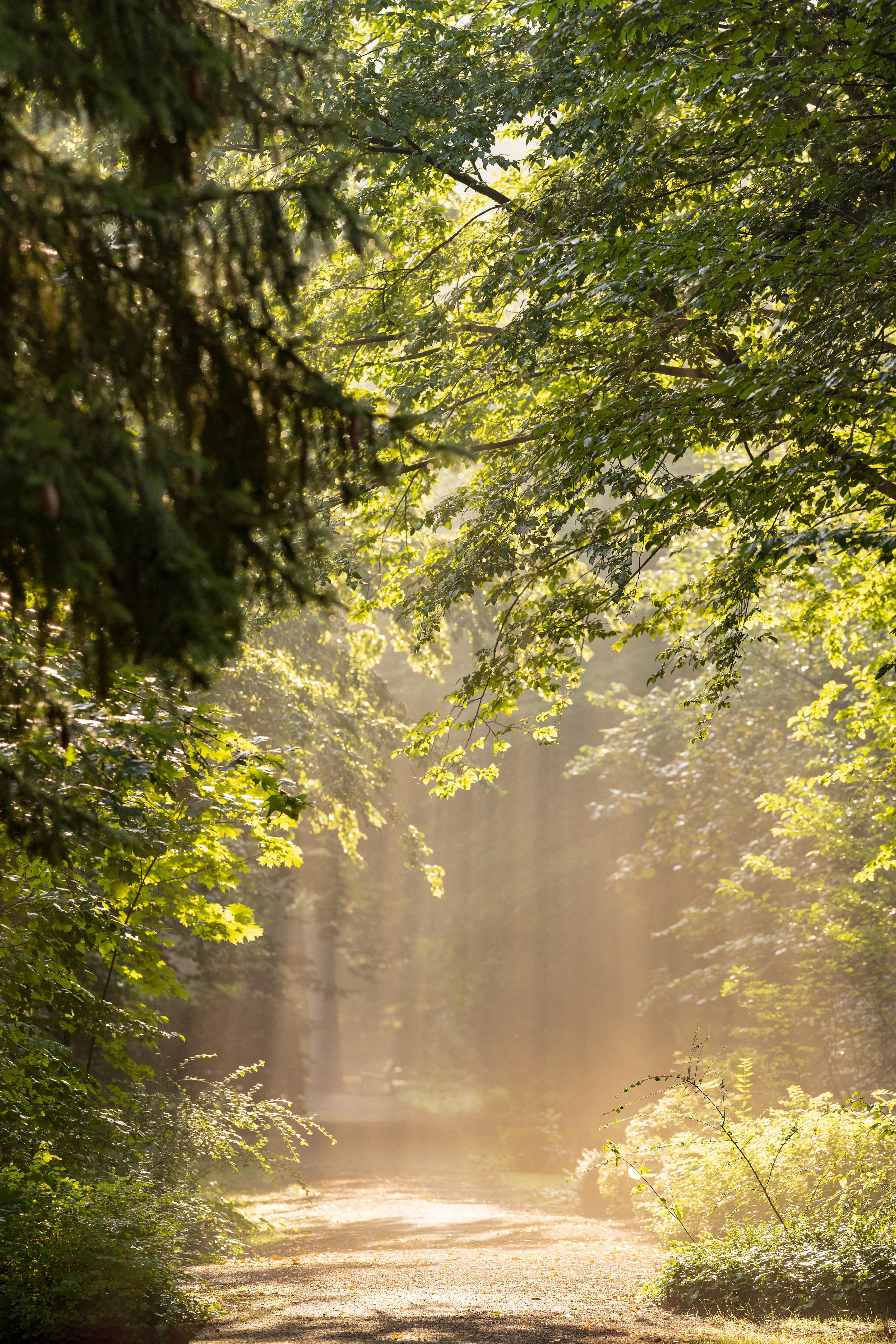 Wanderung „zwischen den Jahren“