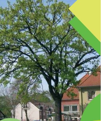 In diesem Flyer finden Sie Anbieter von Nahversorgung für Seniorinnen und Senioren in den Stadtteilen Ahlem, Badenstedt, Davenstedt